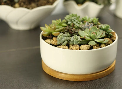 White Porcelain Ceramic Succulent Pot with Bamboo Tray – Deep Round Bonsai & Office Desktop Flower Pot | Zakka Home Decor