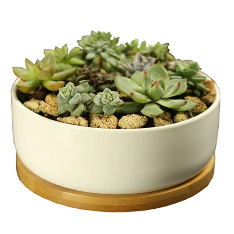 White Porcelain Ceramic Succulent Pot with Bamboo Tray – Deep Round Bonsai & Office Desktop Flower Pot | Zakka Home Decor