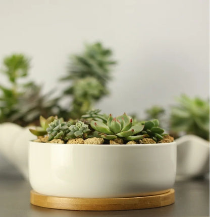 White Porcelain Ceramic Succulent Pot with Bamboo Tray – Deep Round Bonsai & Office Desktop Flower Pot | Zakka Home Decor