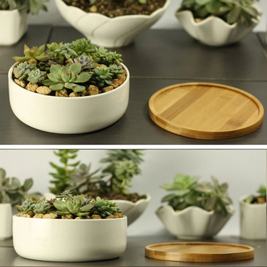 White Porcelain Ceramic Succulent Pot with Bamboo Tray – Deep Round Bonsai & Office Desktop Flower Pot | Zakka Home Decor
