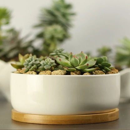 White Porcelain Ceramic Succulent Pot with Bamboo Tray – Deep Round Bonsai & Office Desktop Flower Pot | Zakka Home Decor