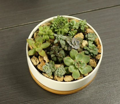 White Porcelain Ceramic Succulent Pot with Bamboo Tray – Deep Round Bonsai & Office Desktop Flower Pot | Zakka Home Decor