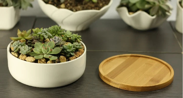White Porcelain Ceramic Succulent Pot with Bamboo Tray – Deep Round Bonsai & Office Desktop Flower Pot | Zakka Home Decor