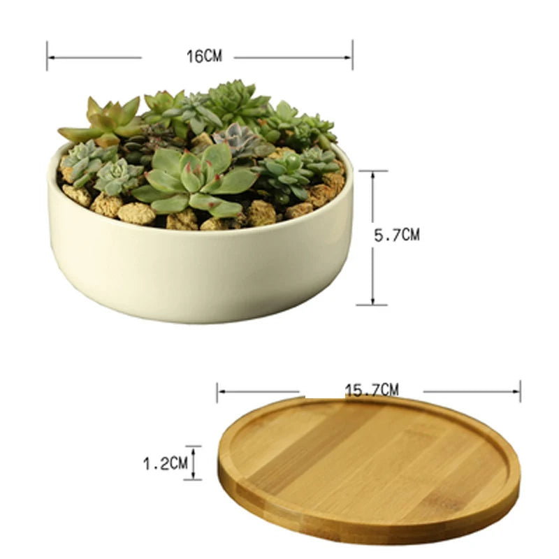 White Porcelain Ceramic Succulent Pot with Bamboo Tray – Deep Round Bonsai & Office Desktop Flower Pot | Zakka Home Decor