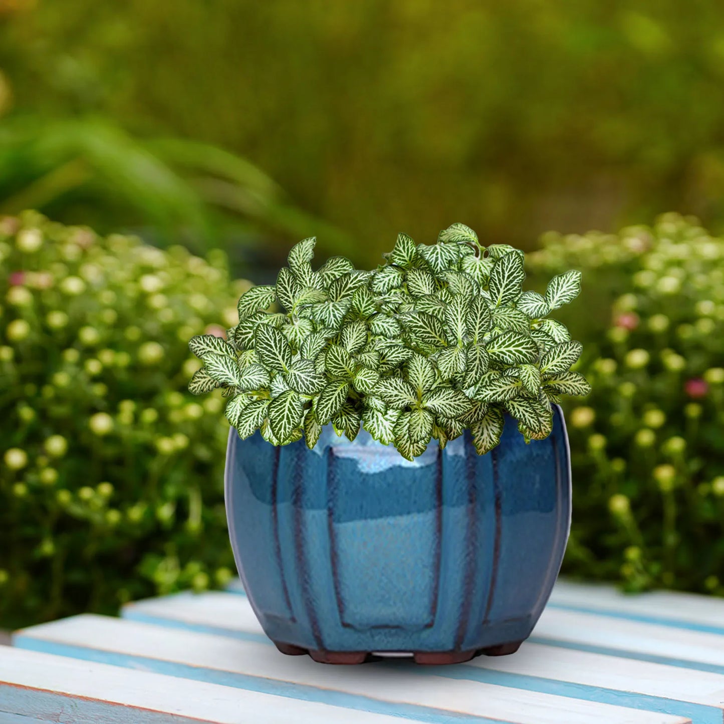 Ceramic Garden Planter Pot with Drainage Hole – Indoor Plant Pot for Balcony, Living Room & Bedroom Decor