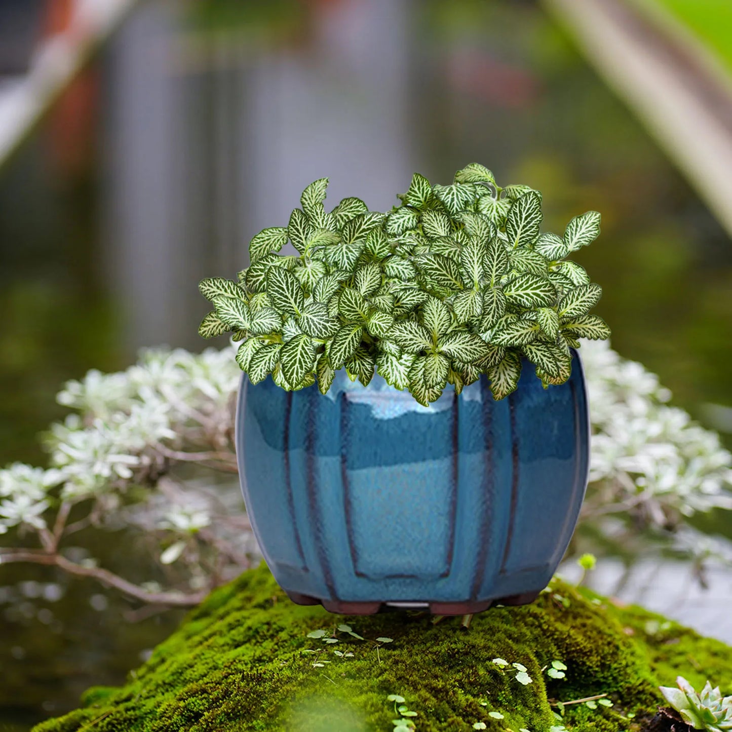 Ceramic Garden Planter Pot with Drainage Hole – Indoor Plant Pot for Balcony, Living Room & Bedroom Decor