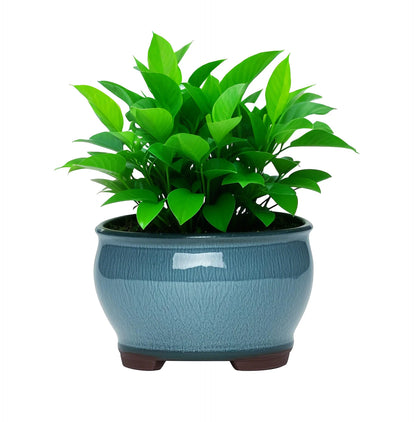 Ceramic Garden Planter Pot with Drainage Hole | Indoor Flower, Cactus & Herb Pot