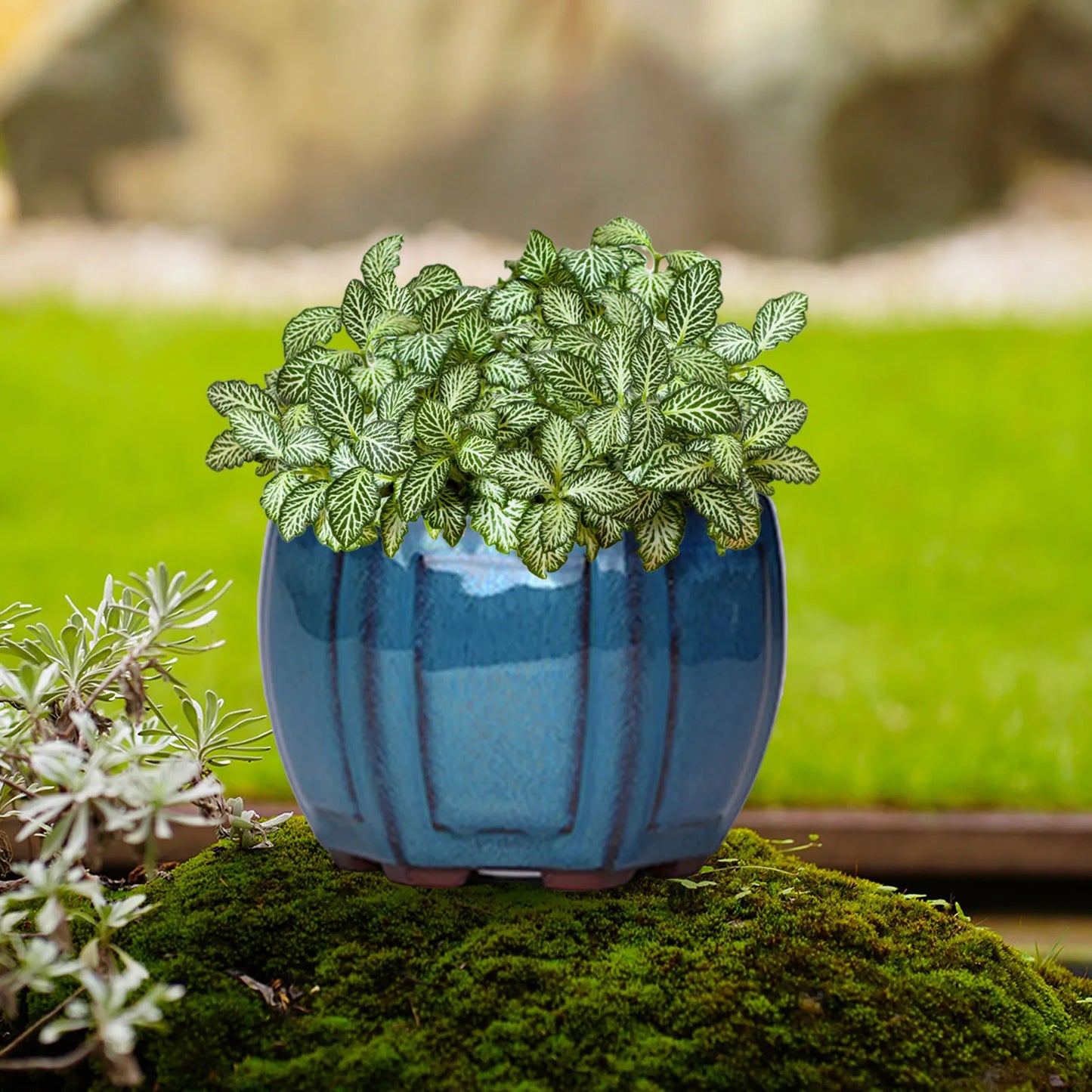 Ceramic Garden Planter Pot with Drainage Hole – Indoor Plant Pot for Balcony, Living Room & Bedroom Decor