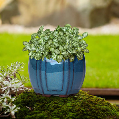 Ceramic Garden Planter Pot with Drainage Hole – Indoor Plant Pot for Balcony, Living Room & Bedroom Decor