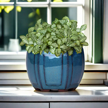 Ceramic Garden Planter Pot with Drainage Hole – Indoor Plant Pot for Balcony, Living Room & Bedroom Decor