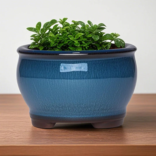 Ceramic Garden Planter Pot with Drainage Hole | Indoor Flower, Cactus & Herb Pot