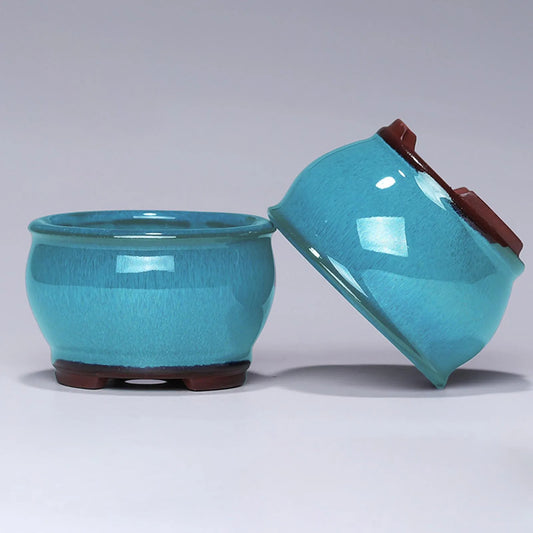 Ceramic Succulent Flower Pot with Drainage Hole – Indoor & Outdoor Planter for Windowsills, Shelves, Gardens & Patios